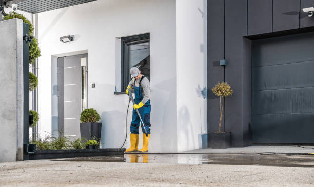Best Fleet Vehicle Washing  in Roodhouse, IL